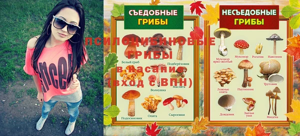соль ск Медвежьегорск