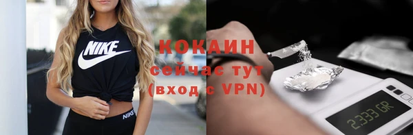 ешки Мегион