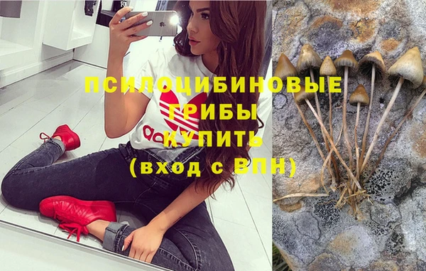 ешки Мегион