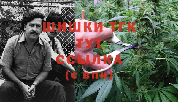 ешки Мегион