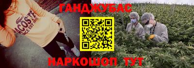 крисы Аргун