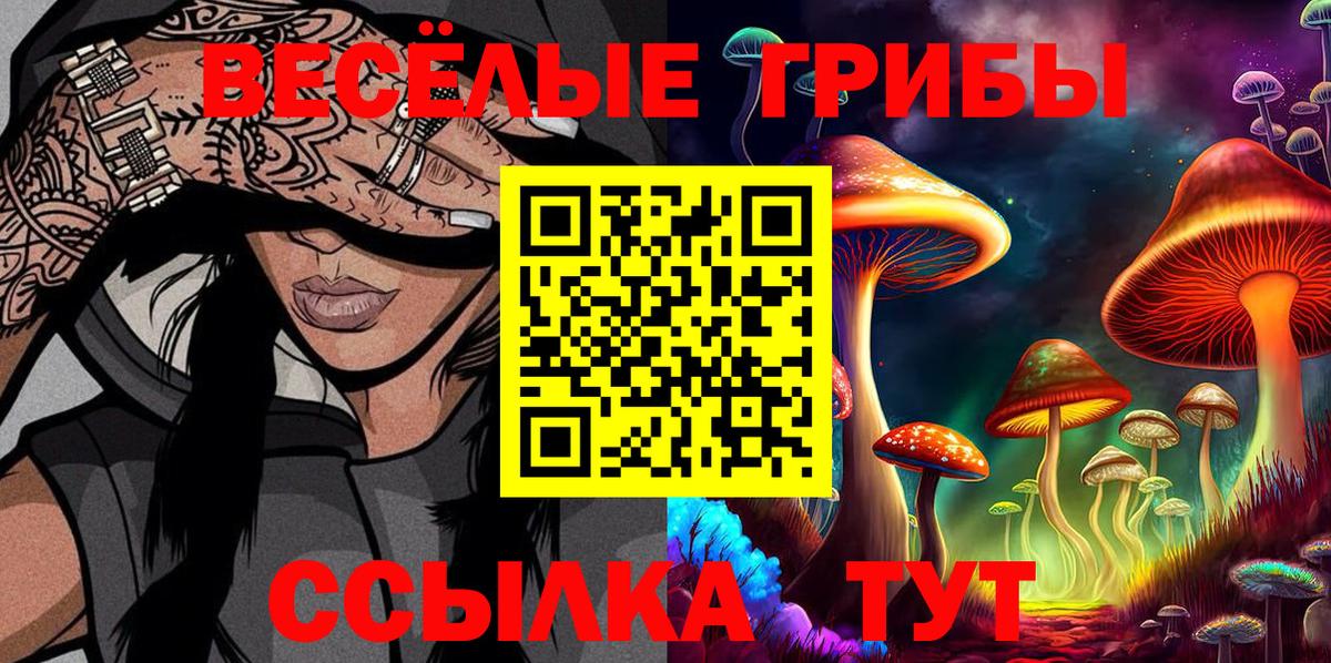 закладка  Малоярославец  Псилоцибиновые грибы Magic Shrooms 