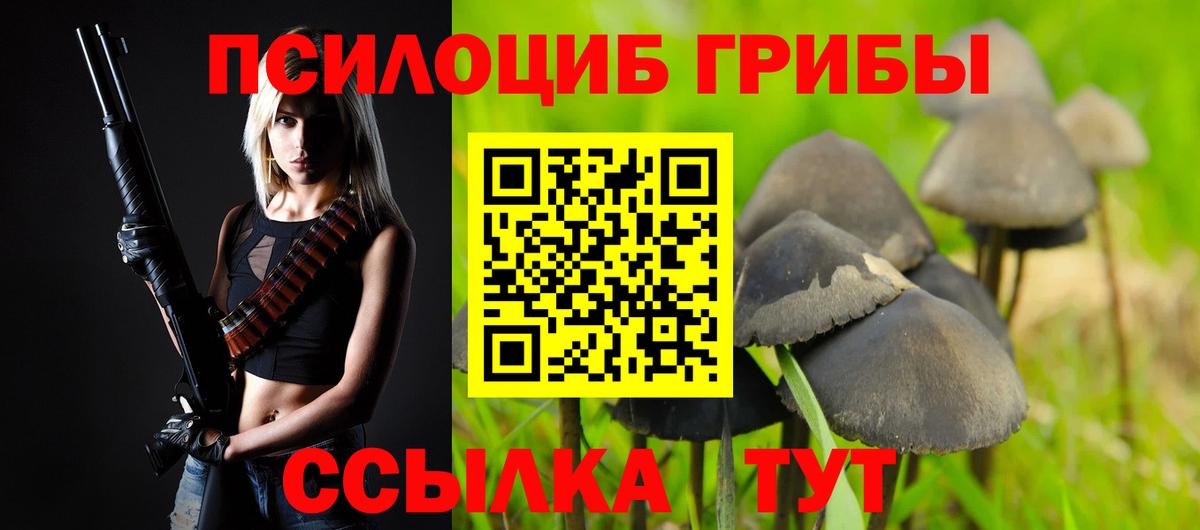 Галлюциногенные грибы прущие грибы  Вход с VPN  Малоярославец 